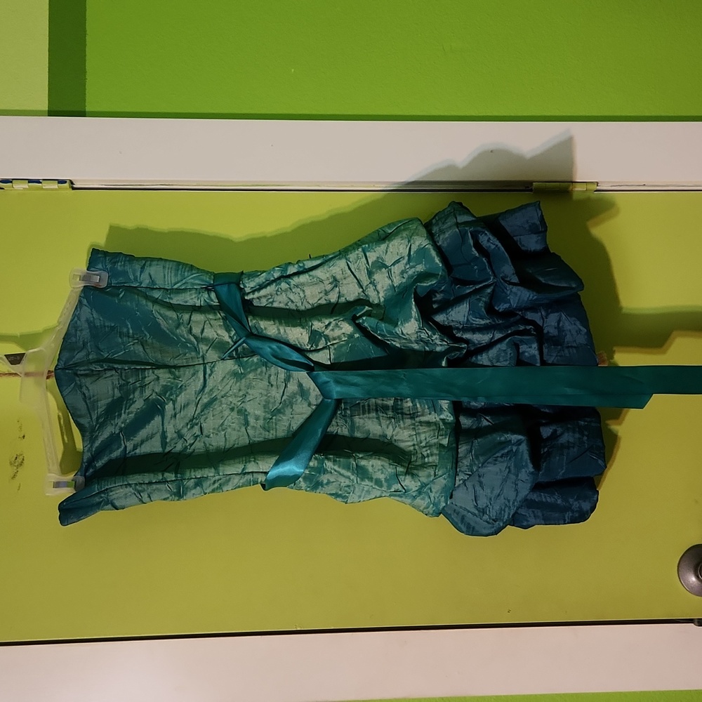Ladies party dress NWOT
